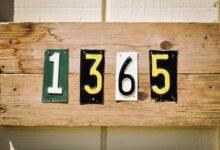 digital numbers profile identifiers