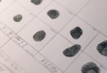 inspect listed data identifiers