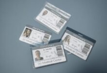 list of decimal ids to decode