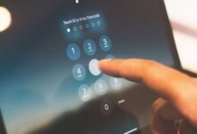 phone identity discovery multiple numbers listed