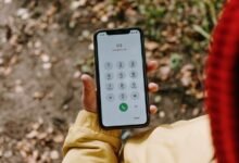 phone numbers for owner lookup