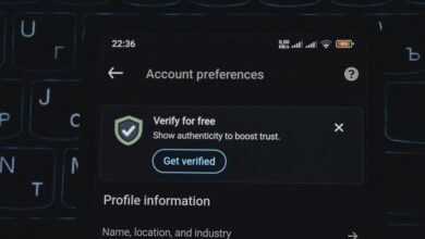 phone numbers list provided