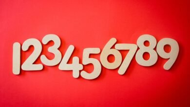 phone numbers list with area codes