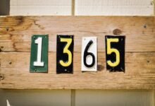 sequence of numeric ids with hidden meaning